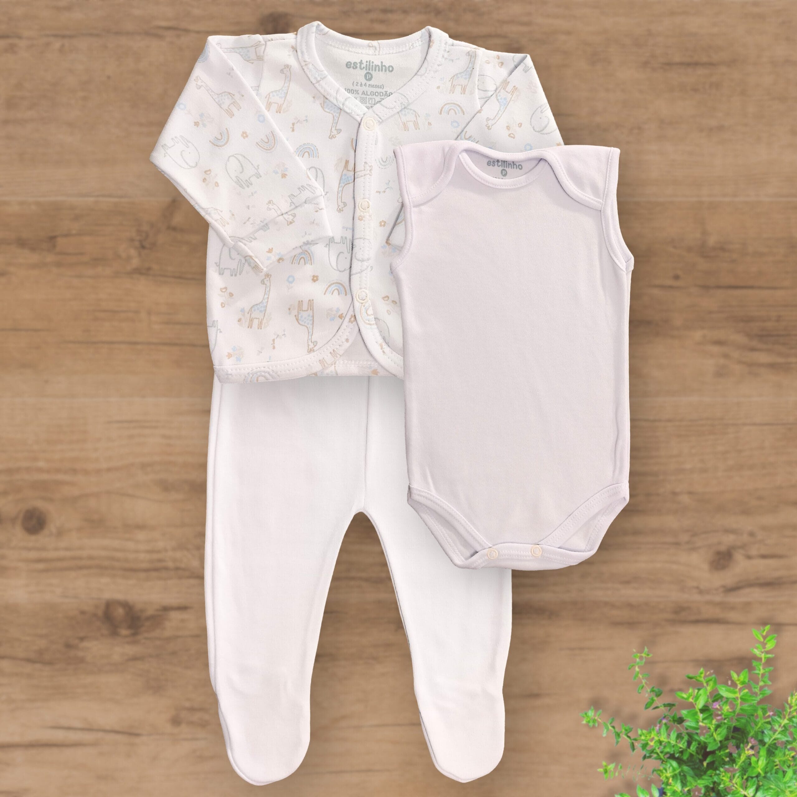 Conjunto Pagão Três Peças com Pezinhos Fechados Estampado - Imagem 2